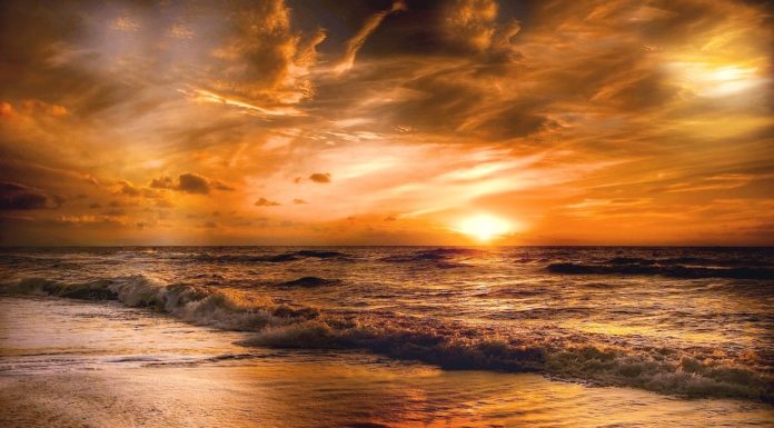 Lebensgenuss im eigenen Garten Whirlpool